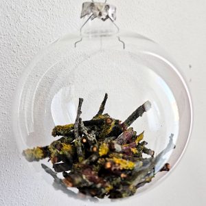 Glob sticlă cu crenguțe cu licheni 10cm
