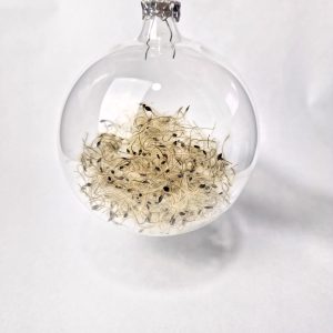 Glob sticlă Curpen de pădure 10cm